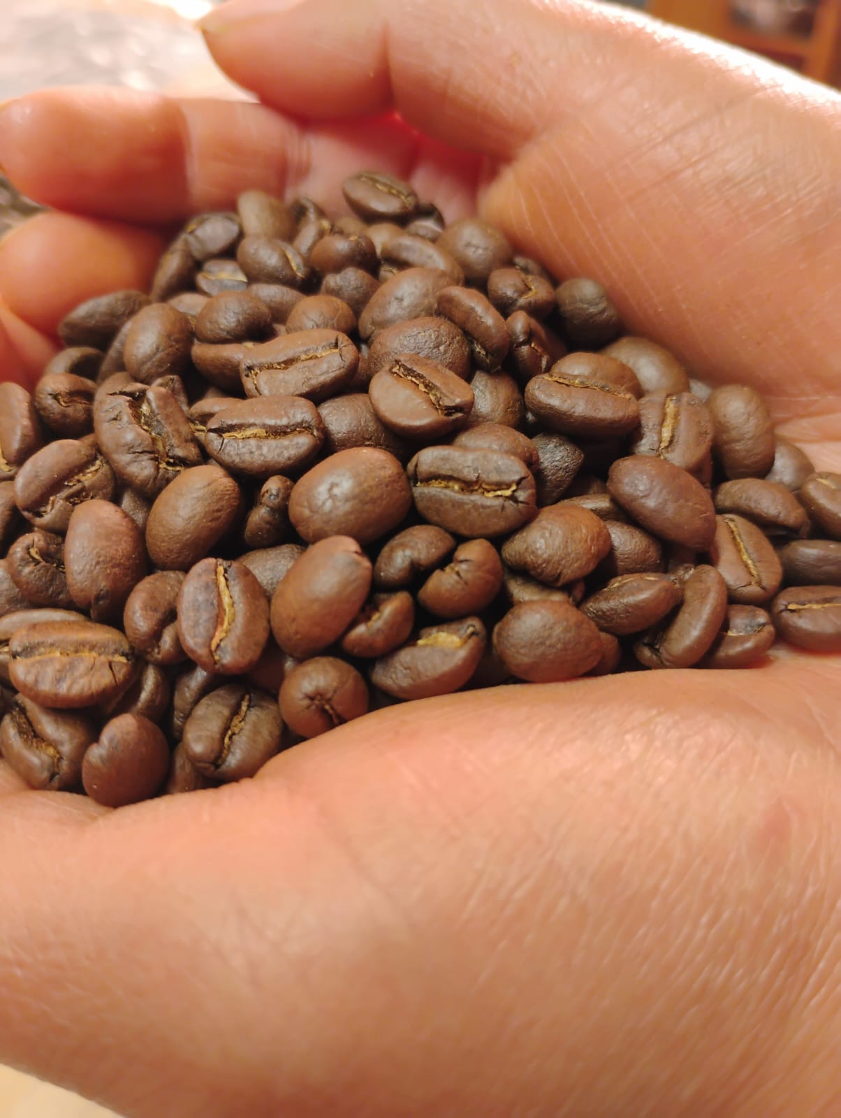 Canasta llena de cerezas de café vistas de cerca